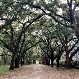 Meet your Posher, Jane